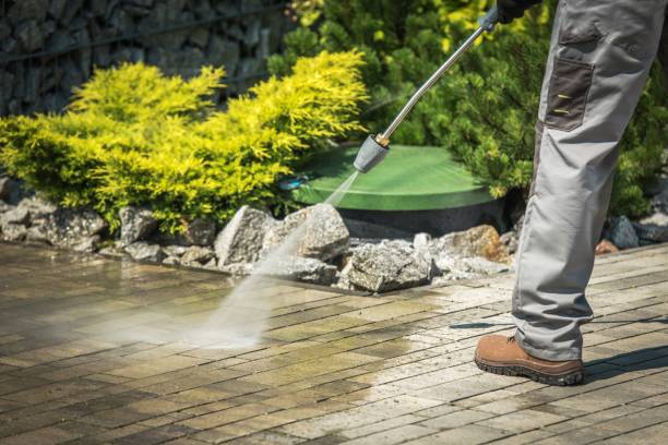 Best Gutter Cleaning  in Bridgeport, TX